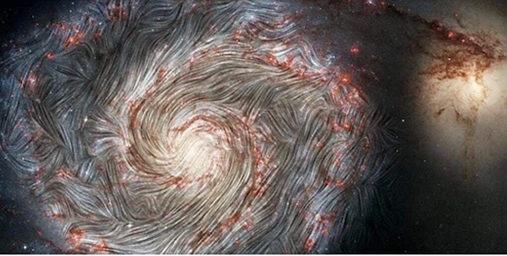 Brighter Side of News