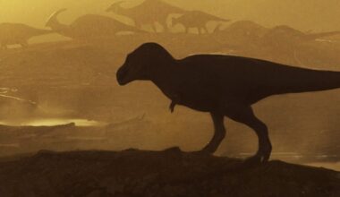 Giant Tyrannosaur Discovered in North America Is The Largest of Its Era : ScienceAlert