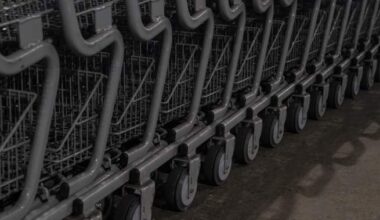 Ontario city to issue $100 fines for abandoned shopping carts