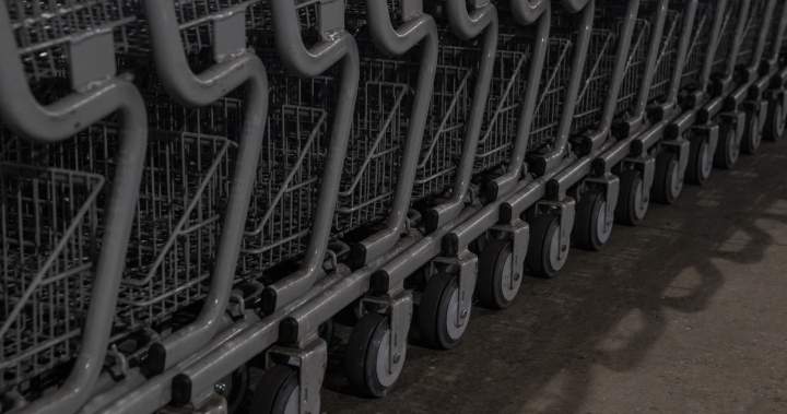 Ontario city to issue $100 fines for abandoned shopping carts