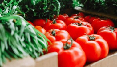 grocery store 170 lakeshore mississauga