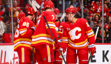 Tamed 'Em | Calgary Flames