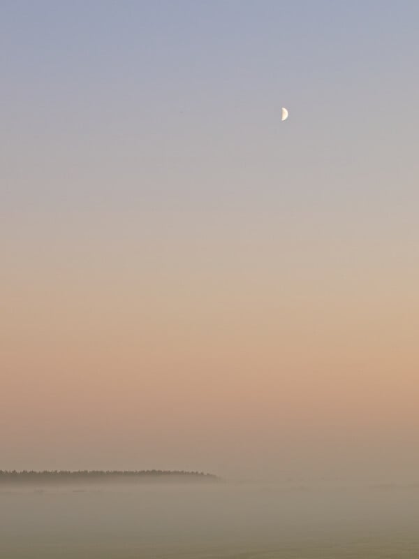 A crescent moon hangs in a pastel sky at dusk or dawn, above a misty landscape with a faint tree line on the horizon.