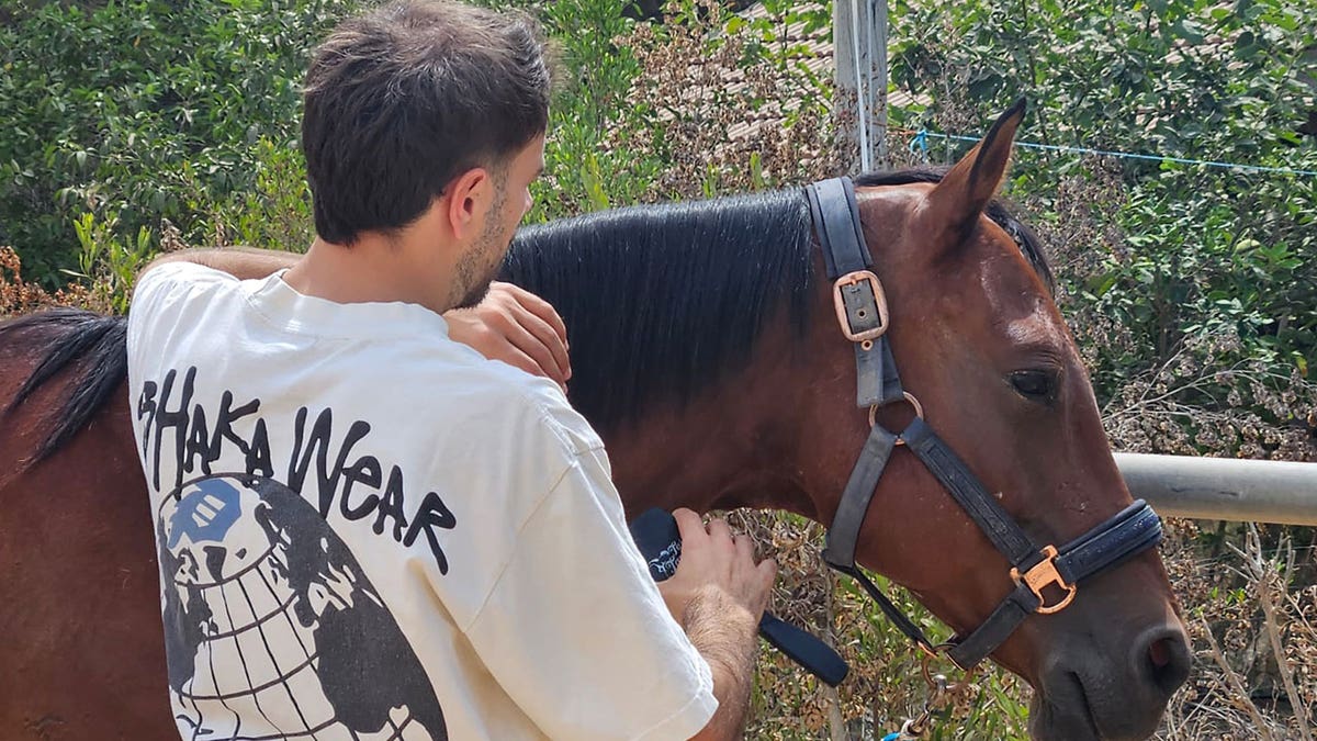 Man with a horse at equine therapy center in Israel