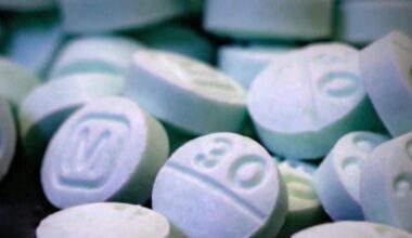 Drug overdoses in Toronto have nearly doubled since January 2025: study – CP24