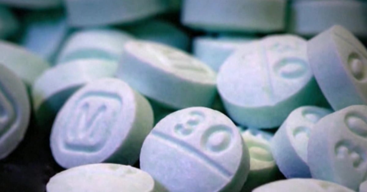 Drug overdoses in Toronto have nearly doubled since January 2025: study – CP24