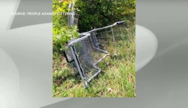 Brampton will begin charging stores for abandoned shopping carts on city property – CP24