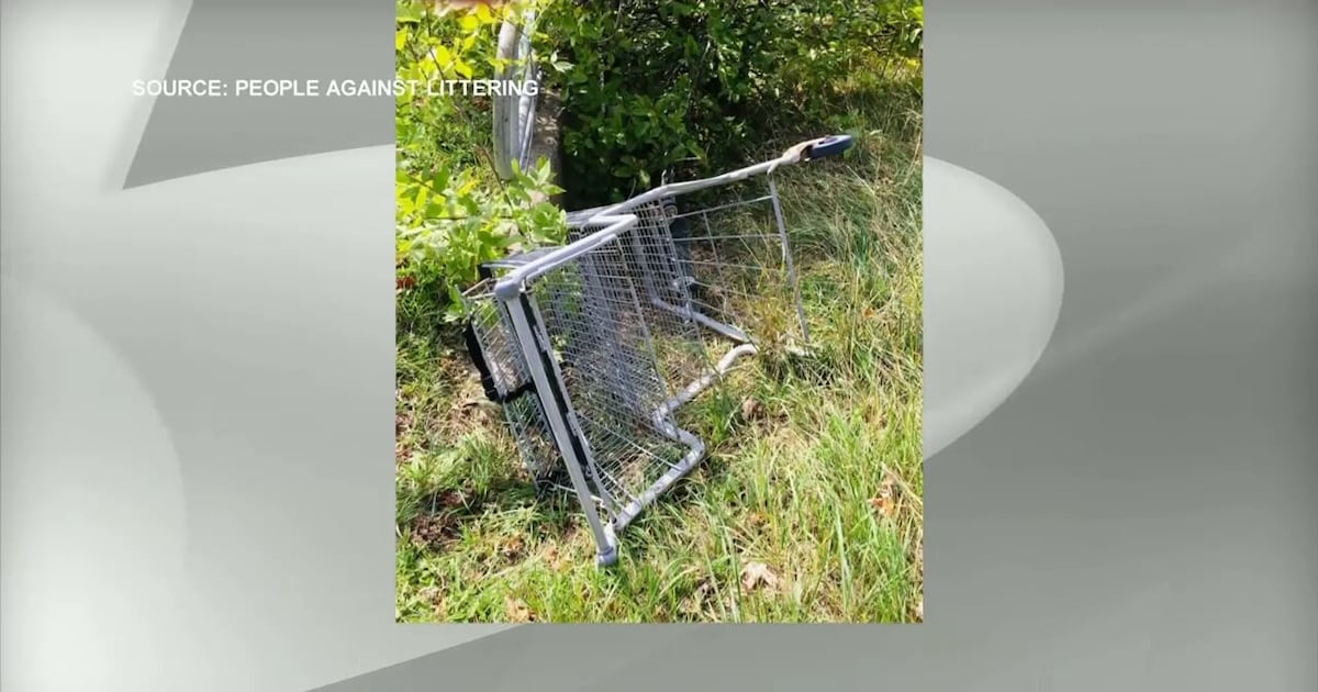 Brampton will begin charging stores for abandoned shopping carts on city property – CP24