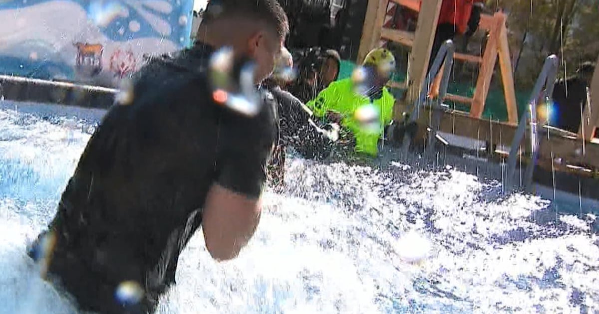 More than 250 people took part in the Polar Plunge at the Toronto Zoo – CP24