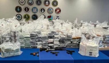 Brampton man pleads guilty of trafficking $17M worth of meth, cocaine – CP24