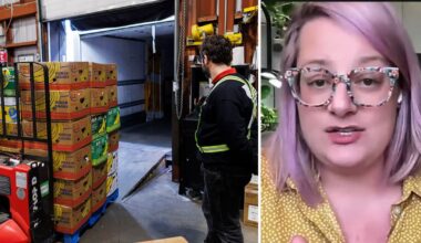 Food Banks Mississauga says financial donations needed to keep organization afloat – CP24