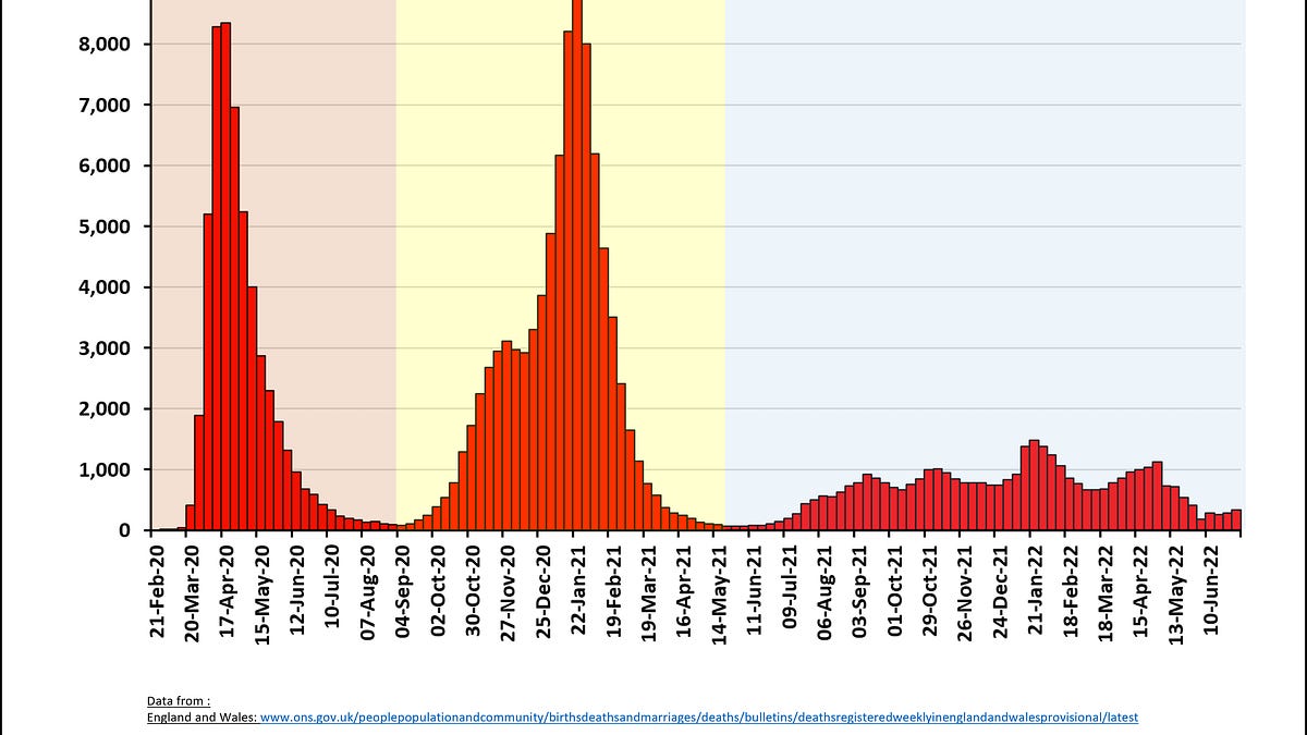 The UK Covid Inquiry has laid bare the avoidable horror of the second Covid wave