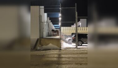 Winnipeg animal rights groups call for ban on live horse shipments