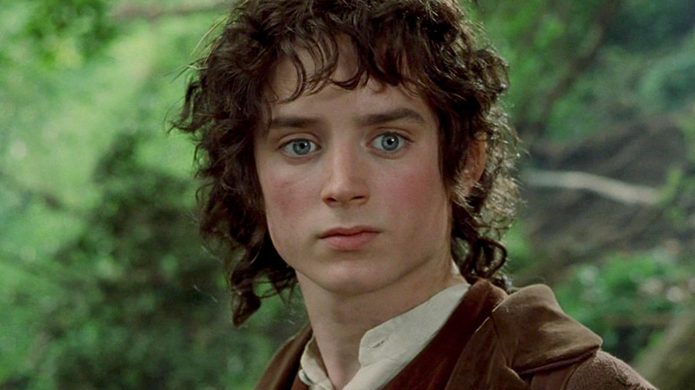 Frodo looking thoughtful in The Lord of the Rings: The Fellowship of the Ring