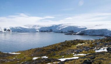 Arctic coastal landscape with melting ice and exposed tundra, illustrating how warming may open the region to invasive species.