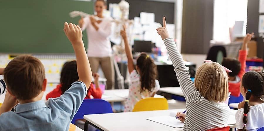 school board dufferin peel ontario