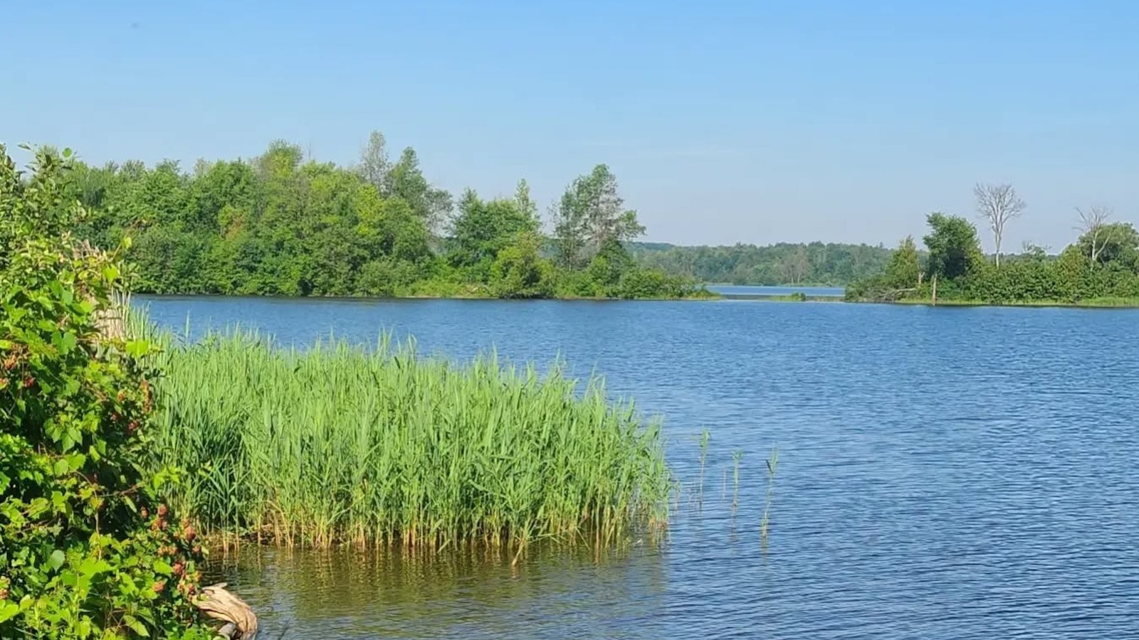 Tucked Between Montreal And Ottawa Is Canada's Scenic Riverside Park With Beaches, Camping, And Trails