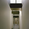Lane Cove House / Lachlan Seegers Architect - Interior Photography, Wood