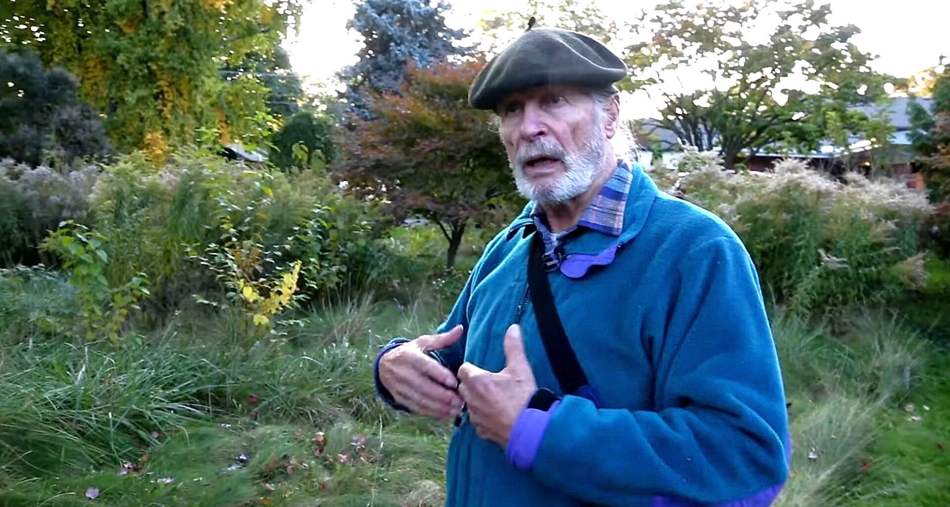 A Canadian homeowner filed a lawsuit against the Mississauga city government to court after he refused to mow his lawn.