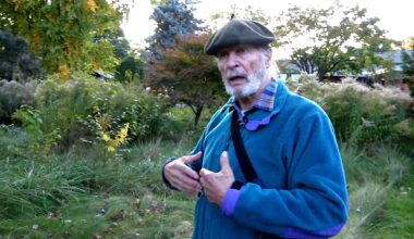 A Canadian homeowner filed a lawsuit against the Mississauga city government to court after he refused to mow his lawn.