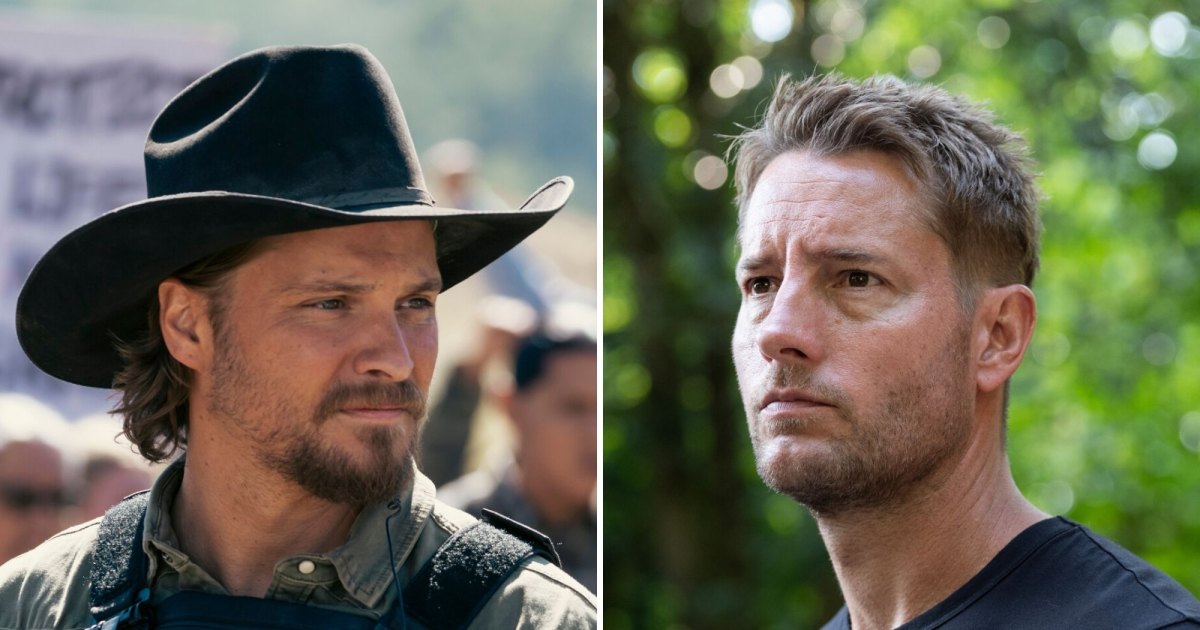 Which Aren't Renewed for More Seasons?