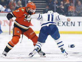 Max Domi