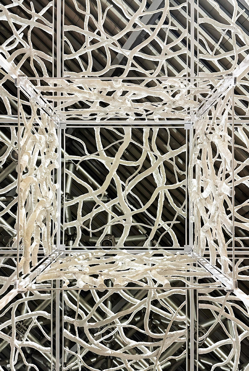 recycled paper waste turns into a branch-like lattice in a living spatial installation - 2