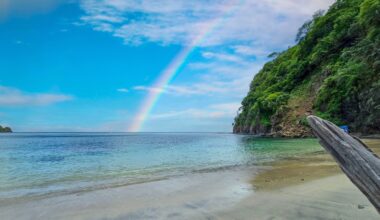 Spending time in nature reduces stress in the brain