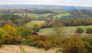Surrey improves it’s 10,000 acre countryside estate