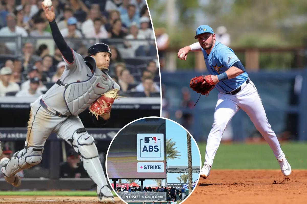 Why MLB players are getting shorter on their bio pages this season
