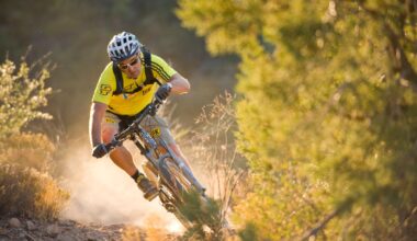 'The industry must self-regulate until the laws are defined' – cycling legend issues call to action to protect e-bikes in the US