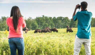 Elk Island National Park