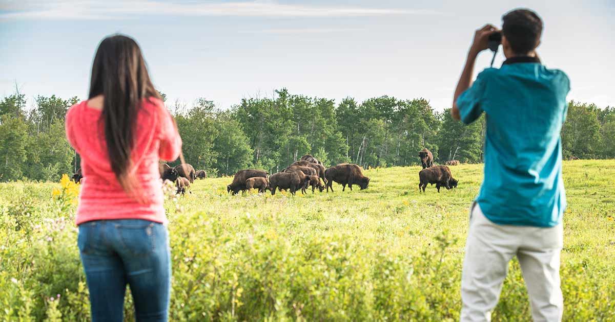 Elk Island National Park