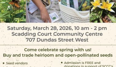 Downtown Toronto Seedy Saturday