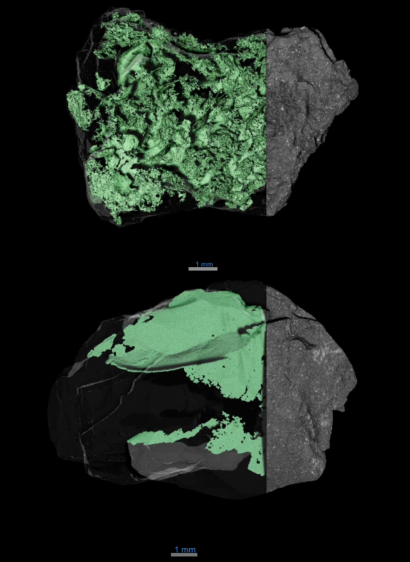 X-ray computed tomography scans of asteroid samples show both their exterior and interior. The outside is a dark gray, rocky surface speckled with white dots, The inside is colored green here, revealing networks of cracks within the sample. At top, the cracks create peaks and valleys, which make the inside look like a topographical map.