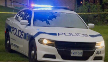 Police car parked near McLaughlin Road South and Oakley Boulevard in Brampton, related to a stabbing incident.