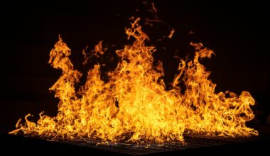 Ottawa Senators @ Calgary Flames