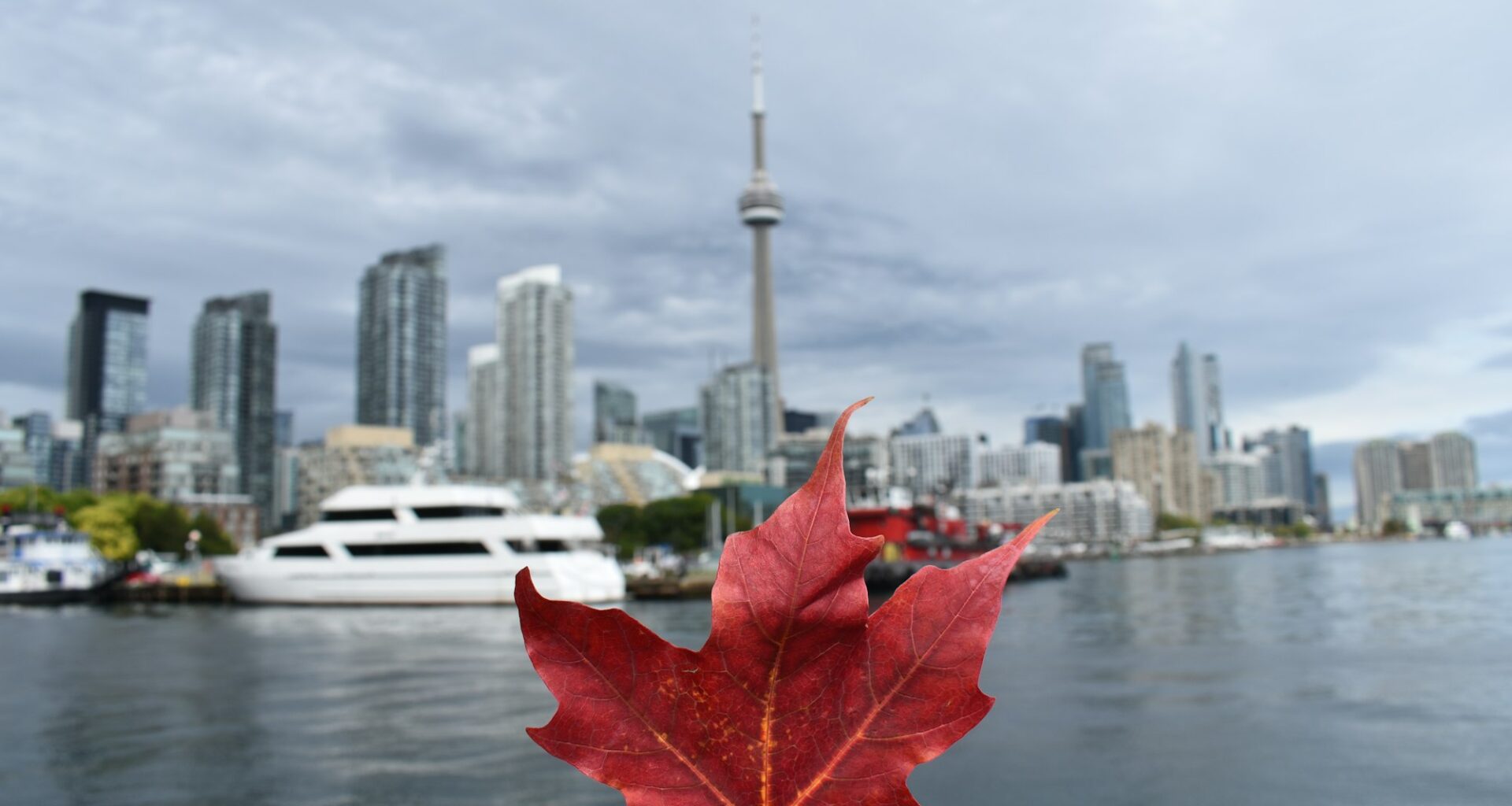 Ottawa Senators vs Toronto Maple Leafs