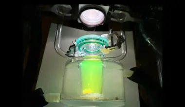 Brighter Side of News