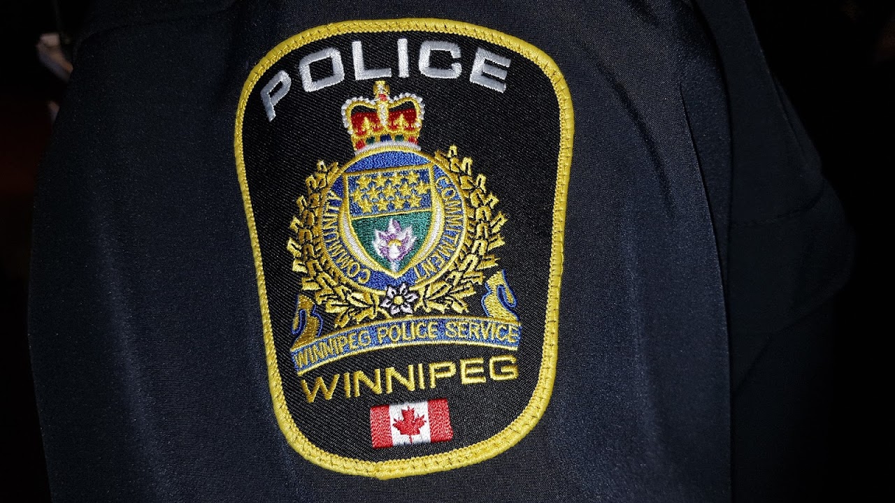 Winnipeg police arrest alleged retail theft ringleader in power tool scheme