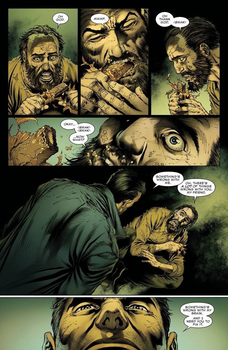 Punisher Microchip Reunion