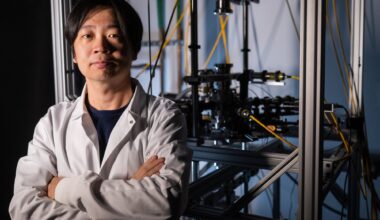 Quantum spin study reveals a previously unknown state of matter