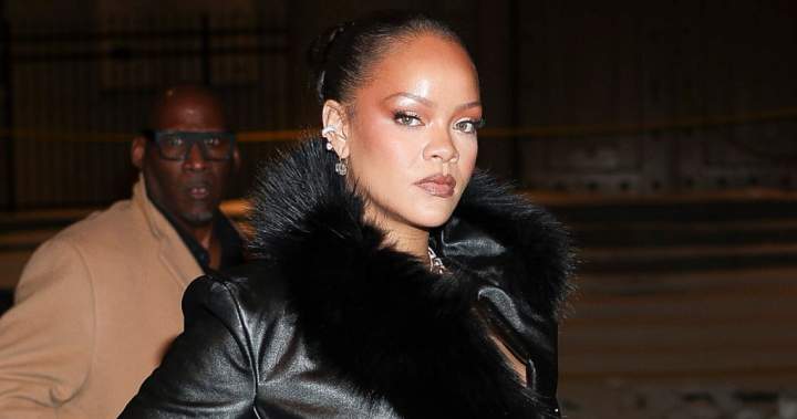 Florida woman pleads not guilty to charge of attempting to murder Rihanna - National