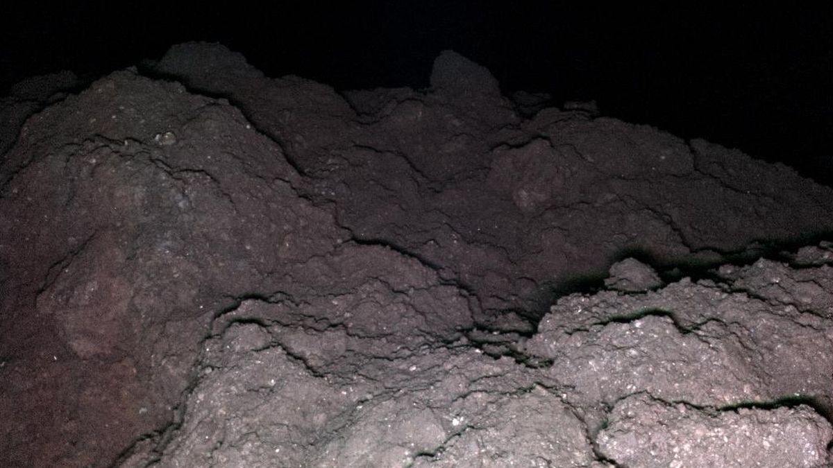 Asteroid Reveals The 5 Key Genetic Ingredients For Life on Earth : ScienceAlert