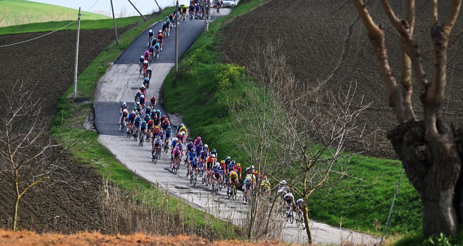 Tirreno-Adriatico stage 5 LIVE - War of attrition on the Marche 'Muri'