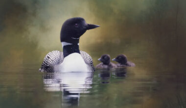 The Vernon Photography Club is open to all ages and all skill levels.