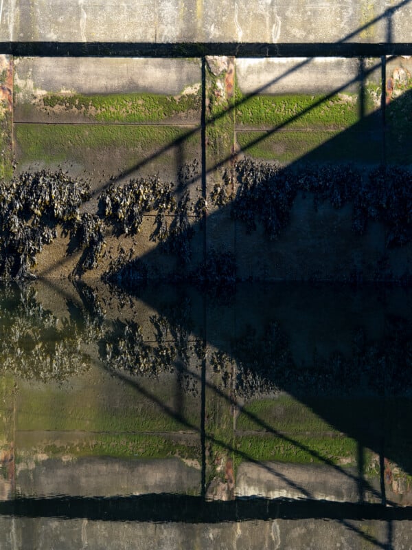 Concrete wall with green moss and barnacles, partially submerged in water. A metal railing and its shadow form diagonal shapes, and their reflections are visible on the calm water's surface.