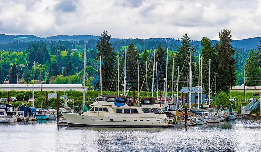 Multnomah Channel of the Willamette River near Portland, Oregon.