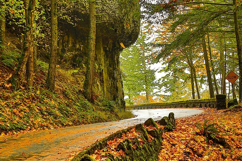 The old Columbia River Gorge highway in the Columbia River Gorge National Scenic Area, Oregon.