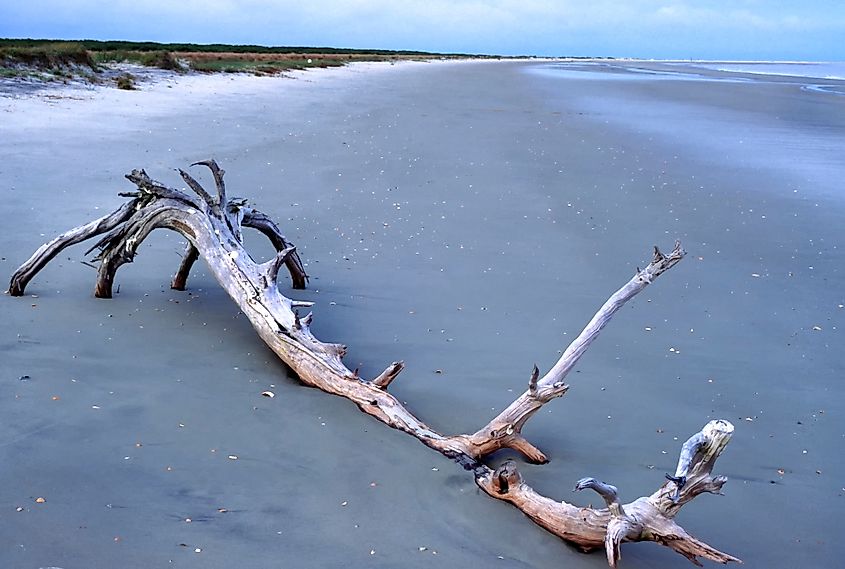 Beach in Little St. Simons Island.